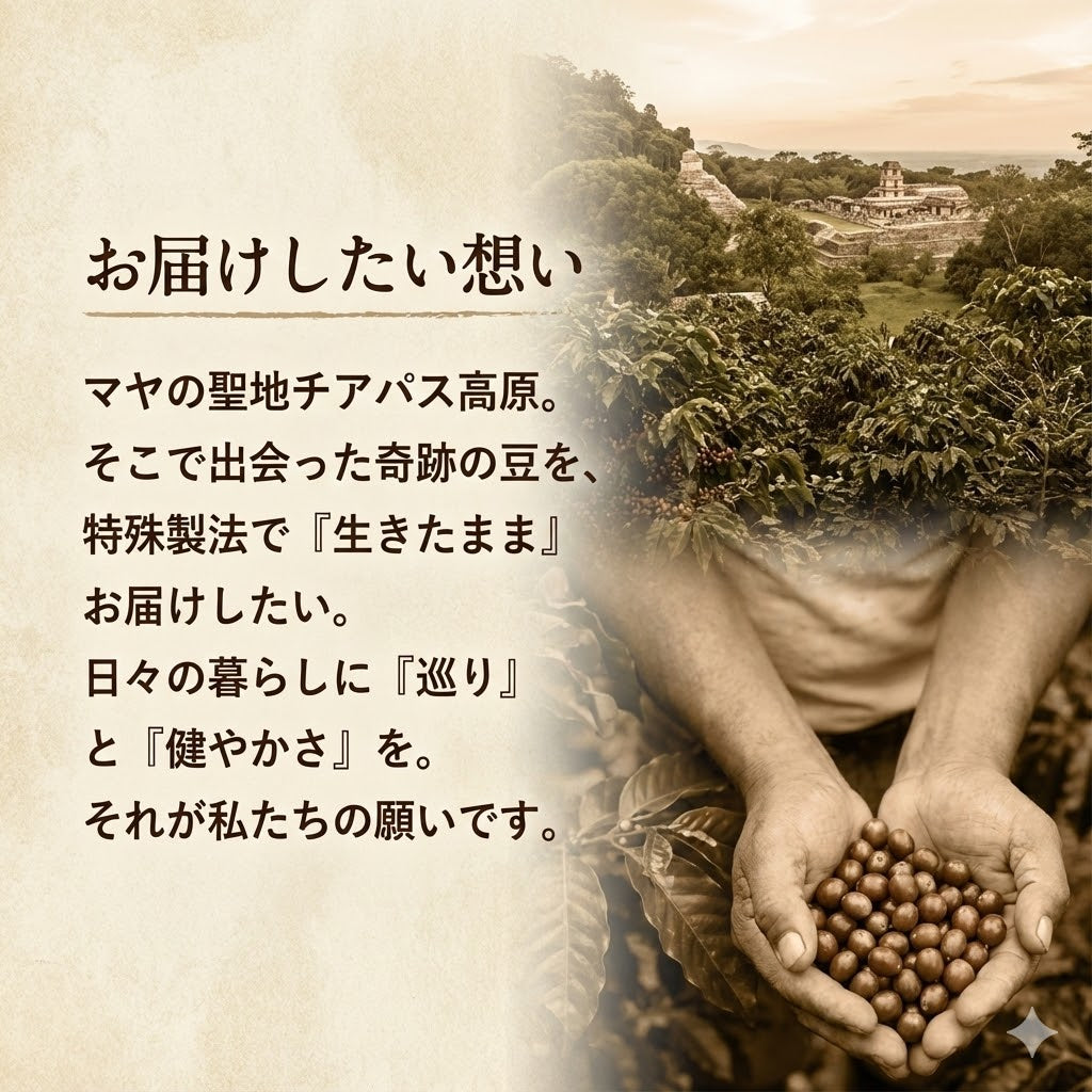 巡りのブレンド 有機グリーンコーヒー 30g(送料無料)