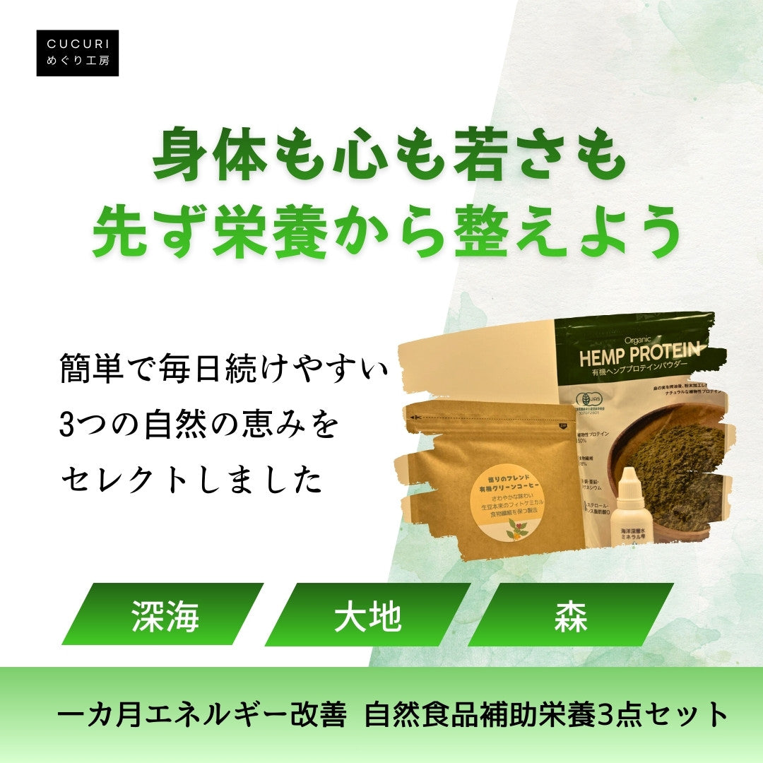 一カ月エネルギー改善 自然食品補助栄養3点セット（送料無料）　