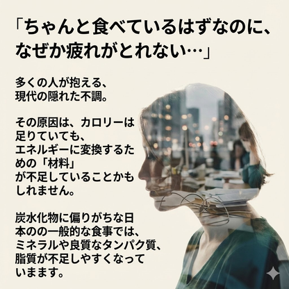 一カ月エネルギー改善 自然食品補助栄養3点セット（送料無料）　