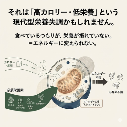一カ月エネルギー改善 自然食品補助栄養3点セット（送料無料）　