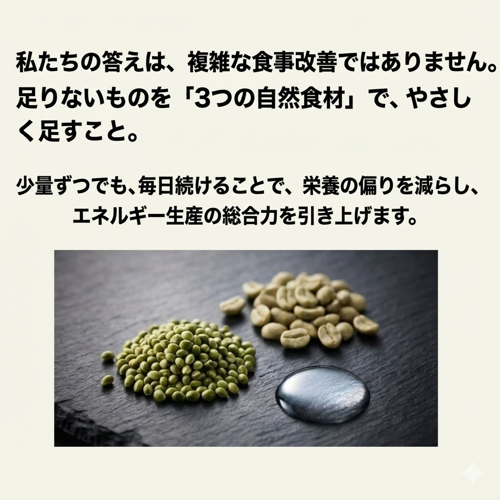 一カ月エネルギー改善 自然食品補助栄養3点セット（送料無料）　