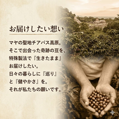 巡りのブレンド　有機グリーンコーヒー 30g（送料無料）　